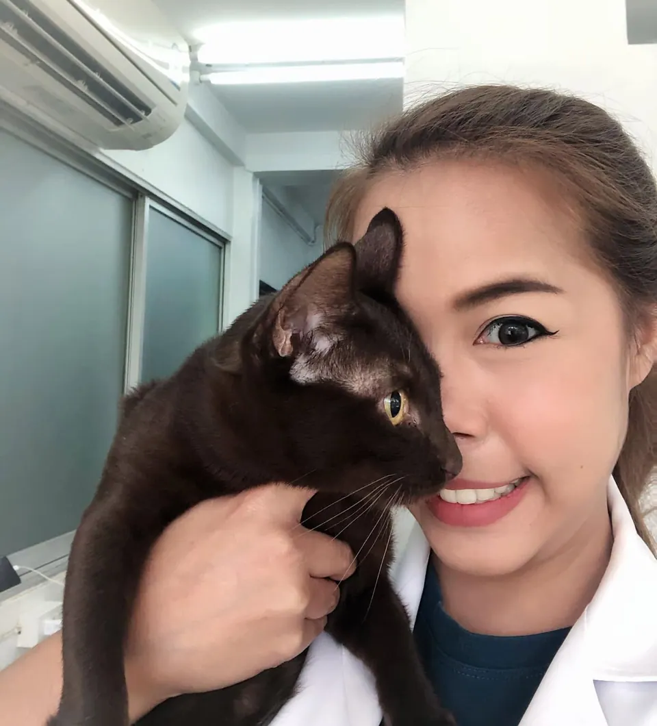 คุณหมอปลา สพญ.ชัญญา อุ้มแมวอย่างใกล้ชิดที่โรงพยาบาลสัตว์เพ็ทเบสตี้