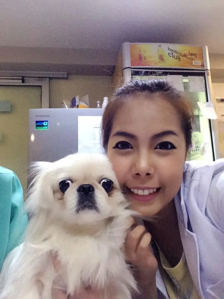 คุณหมอปลา สพญ.ชัญญา กับสุนัขที่โรงพยาบาลสัตว์เพ็ทเบสตี้
